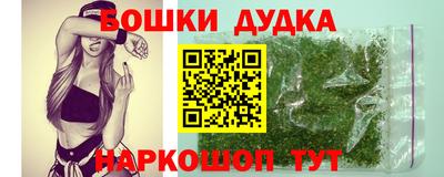 сатива Краснознаменск