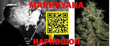 сатива Краснознаменск