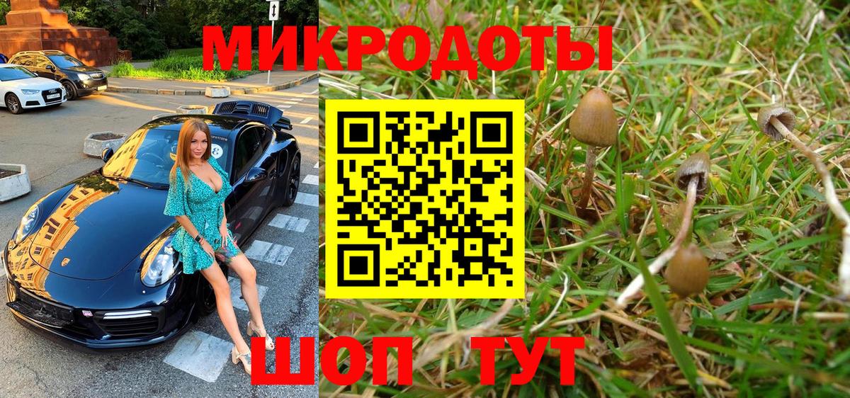 продажа наркотиков  Псилоцибиновые грибы мицелий  Вход с VPN  Южно-Сахалинск 